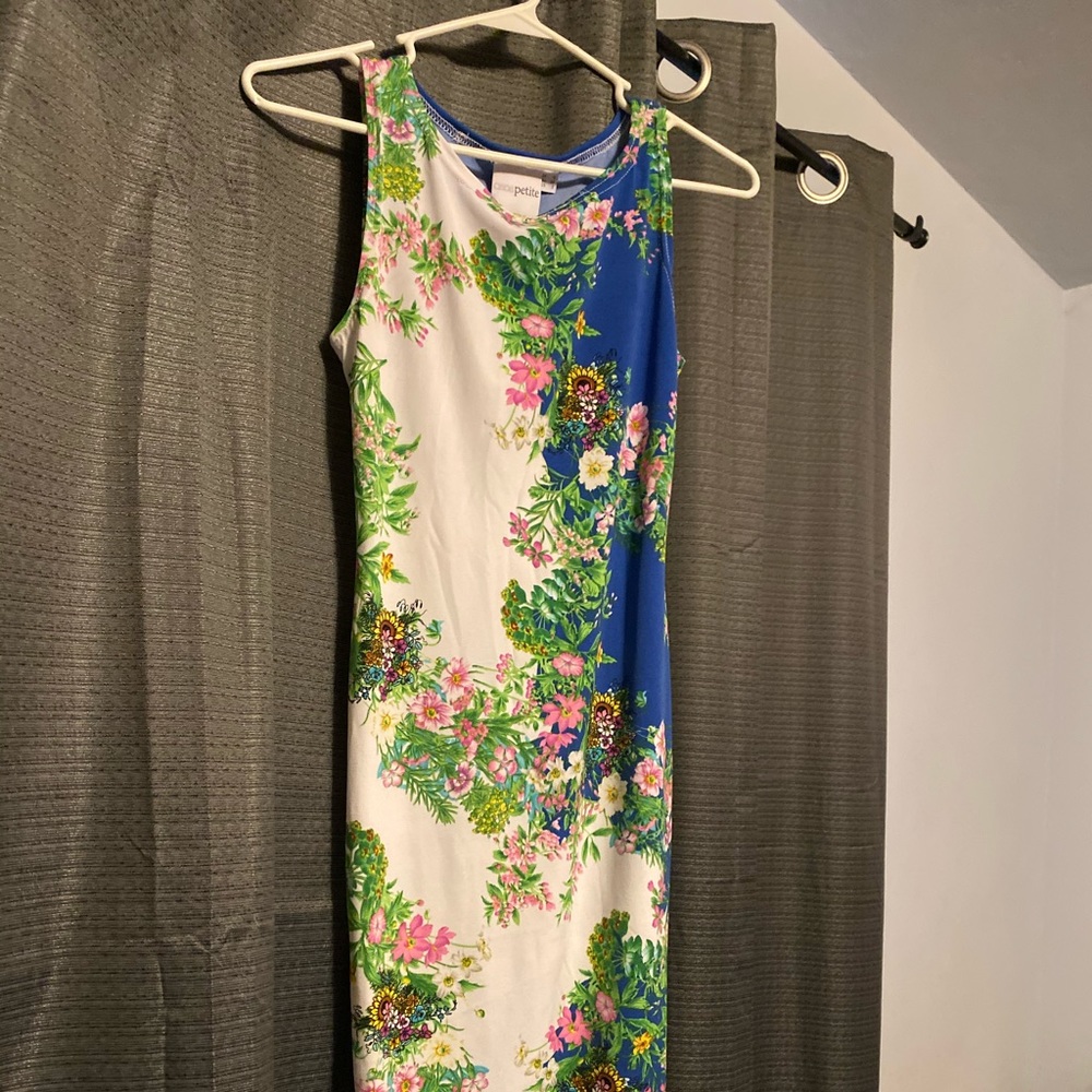 Beautiful ASOS Petite Long Dress